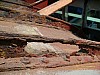 sphinx-156.jpg