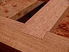 sphinx-370.jpg